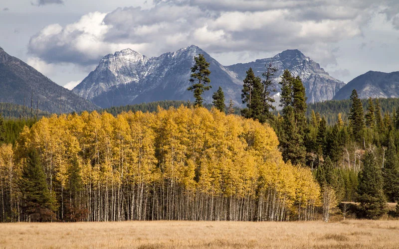 buddhist spiritual tour packages